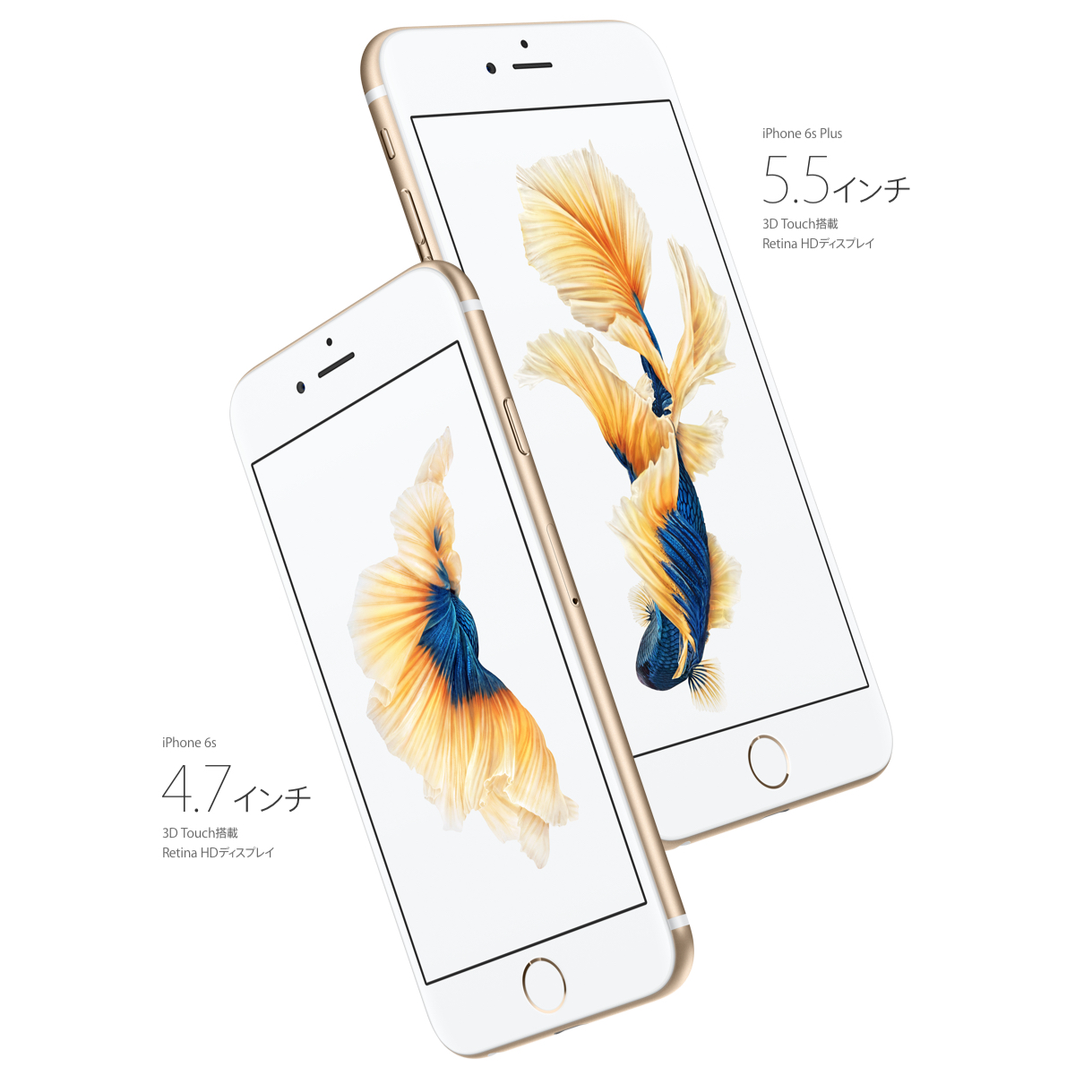 新しいiPhone 6S、iPhone 6S Plusへの対応について – AUTOPIC